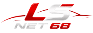 Logo LS Net 68 rouge et argent